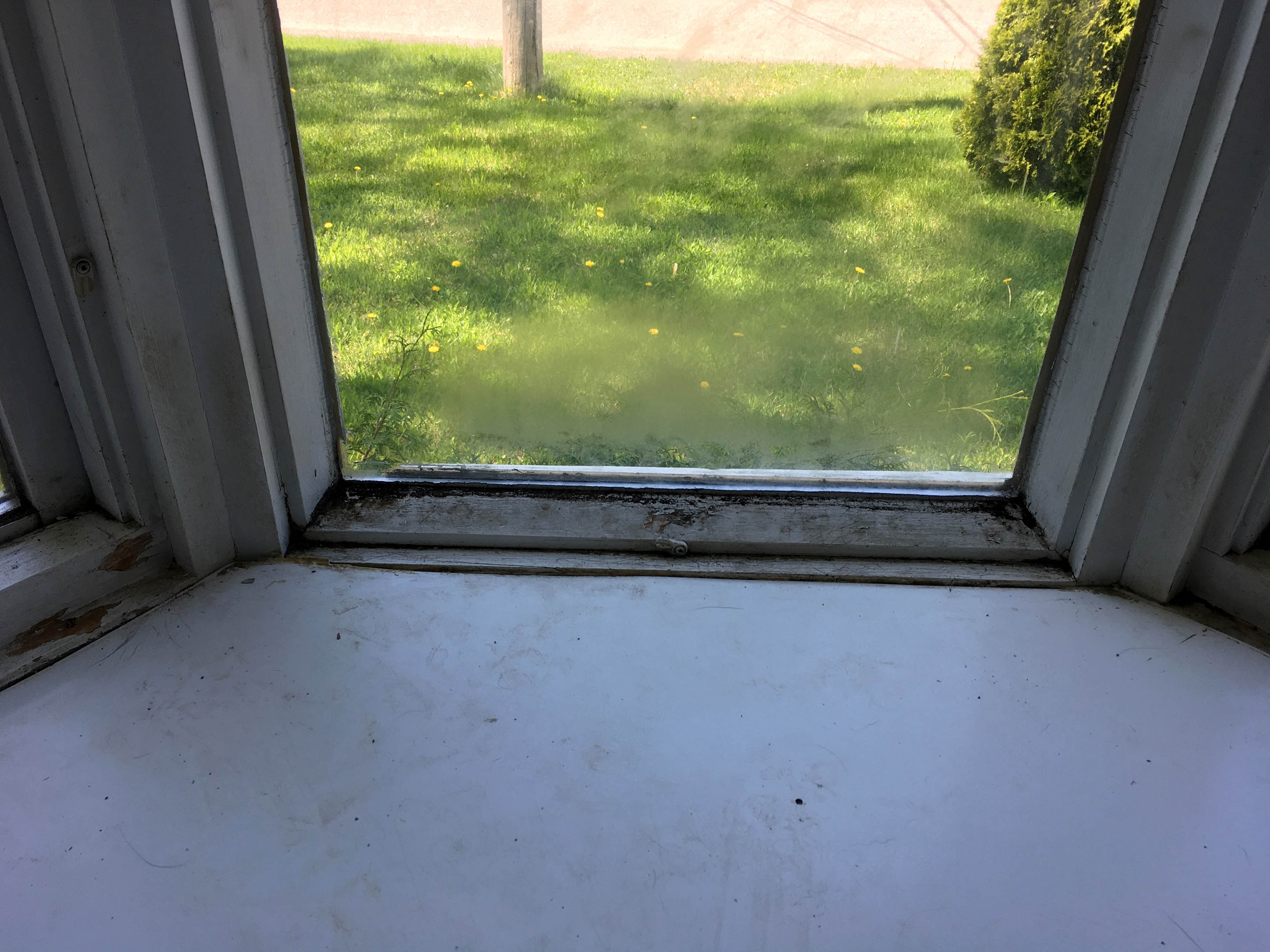 bay-window (5)
